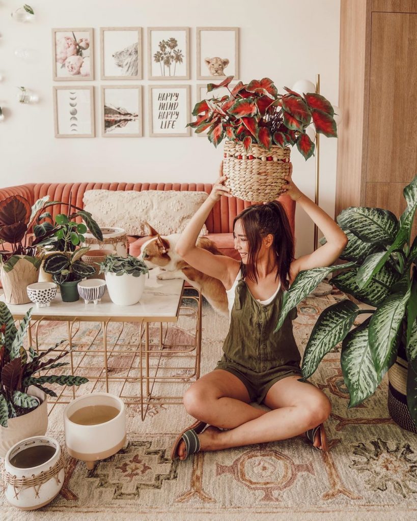 instagram de decoração - sala com mulher segurando vaso com plantas e muitas plantas ao redor 