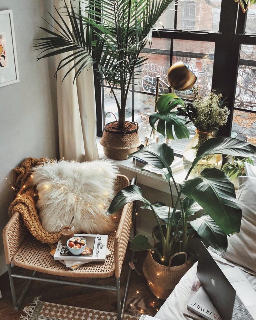 instagram de decoração plantas verdes, cadeira, espaço de leitura